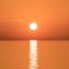用户橙橙妈妈的头像，中年女性温和笑容